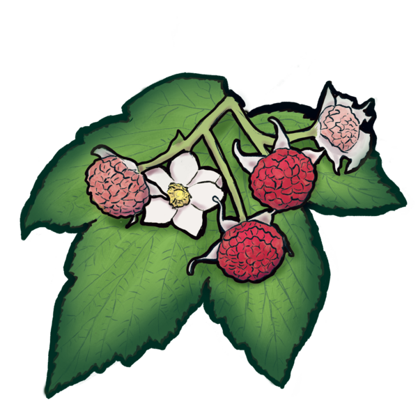 Thimbleberry Counselling